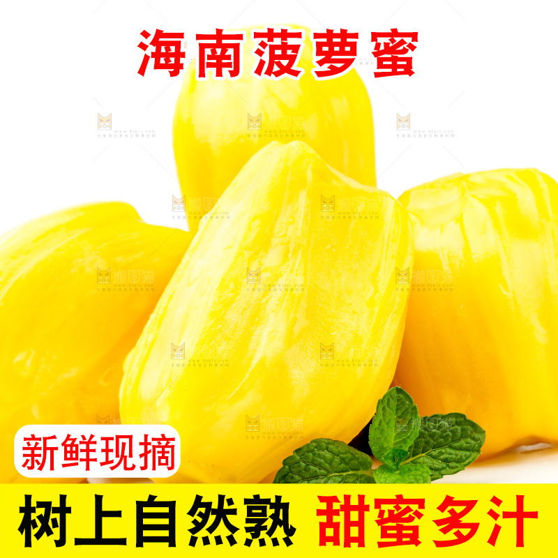 白底上的海南菠萝蜜