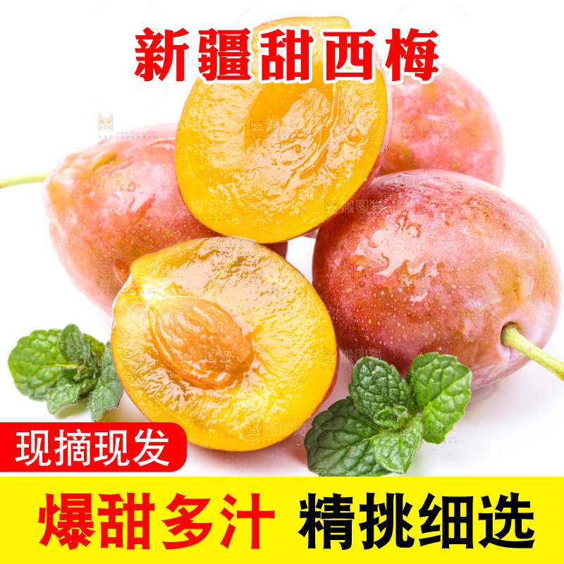 浅底上的新疆西梅