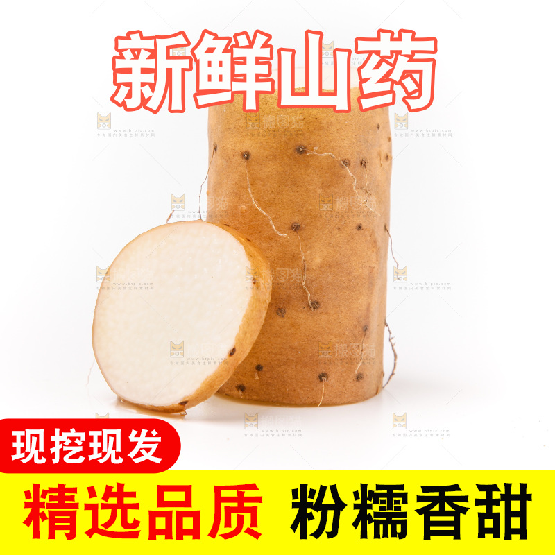 浅底上的新鲜山药