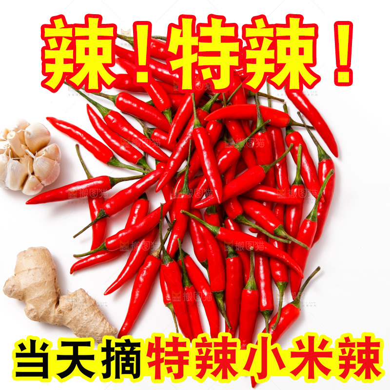 白底上的红辣椒