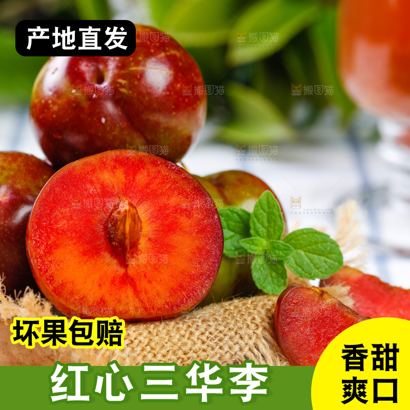 篮子里装着钱排三华李