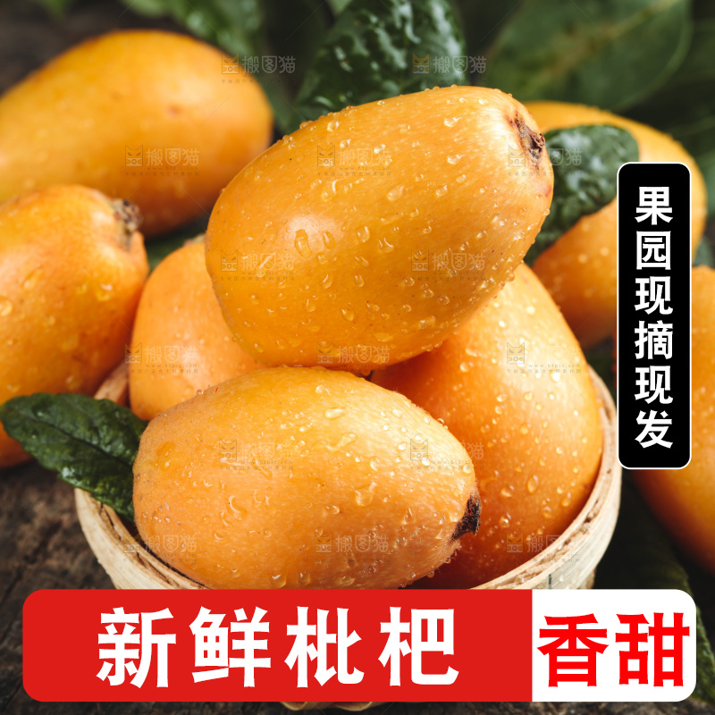 篮子里装着新鲜枇杷