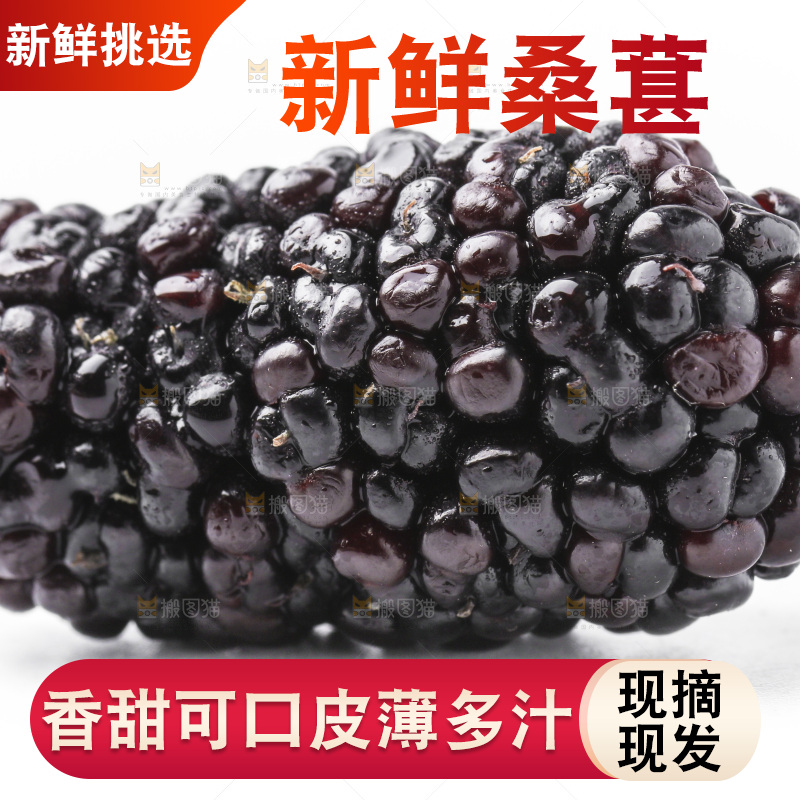白底上摆放着桑葚