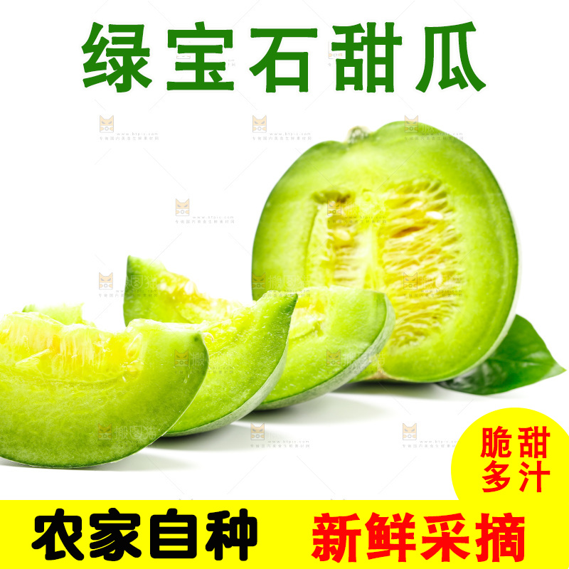 浅底上的山东绿宝石甜瓜