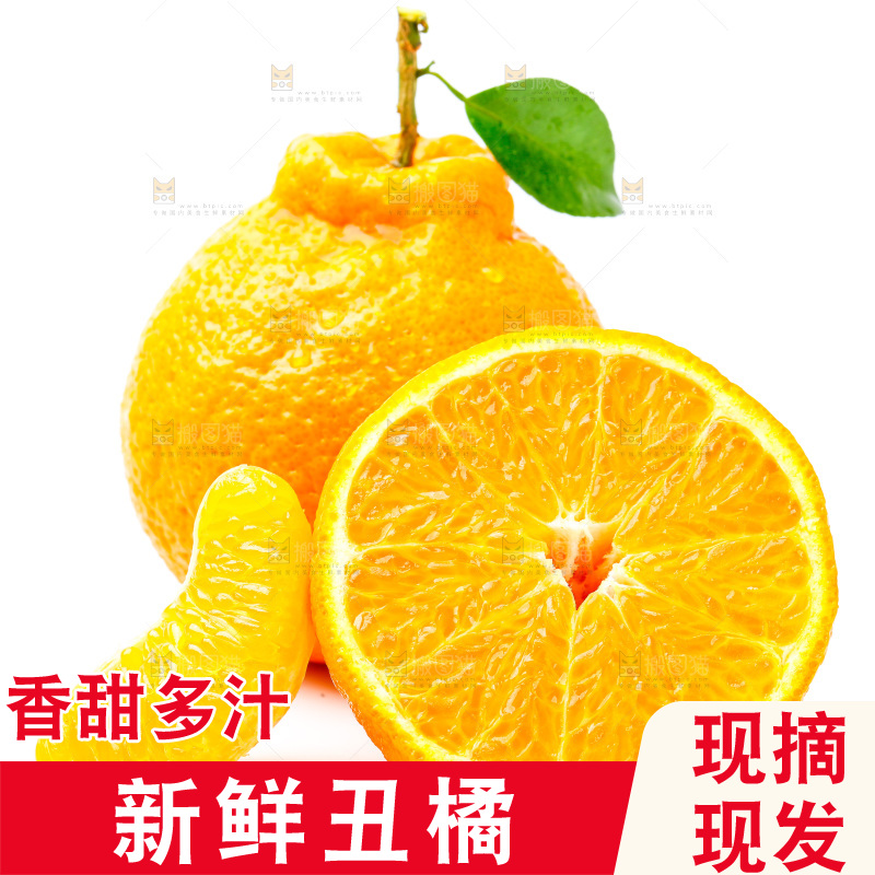 白底上的丑柑