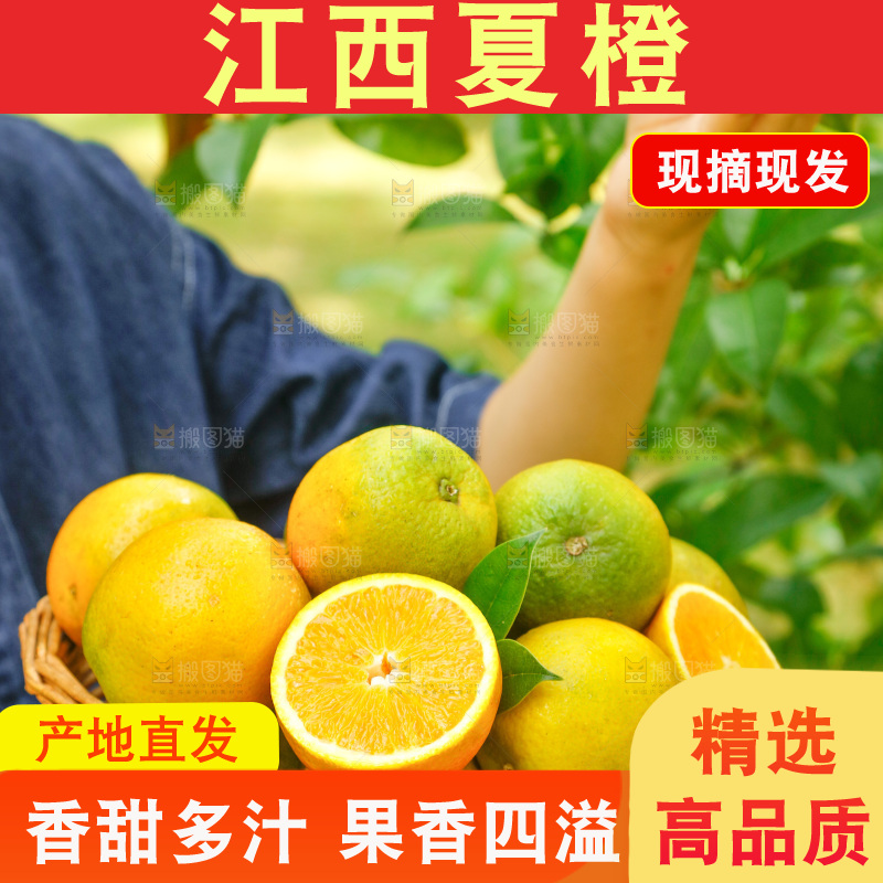 手里端着一篮秭归夏橙