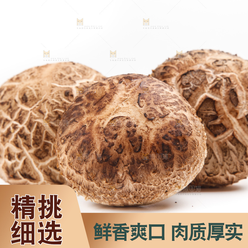 白底上放着花菇