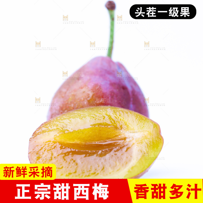 浅底上的新疆西梅