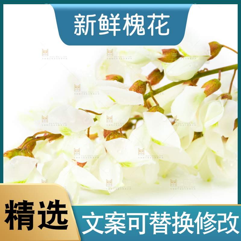 白底上摆放着洋槐花