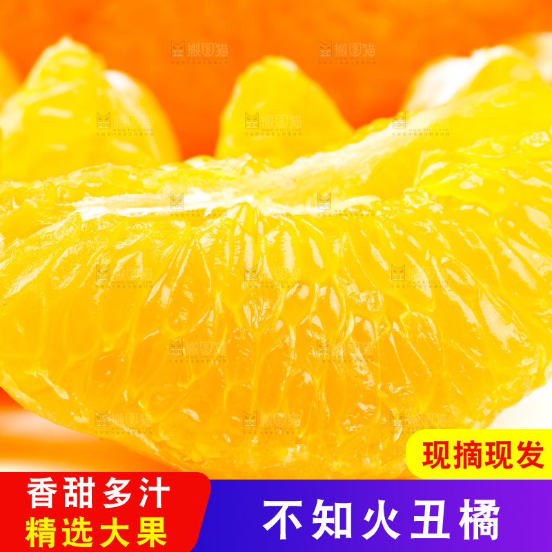 白底上的丑柑