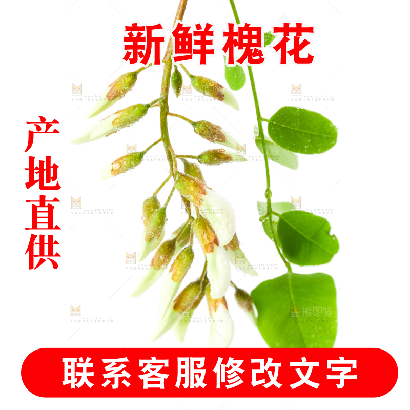 白底上放着槐花