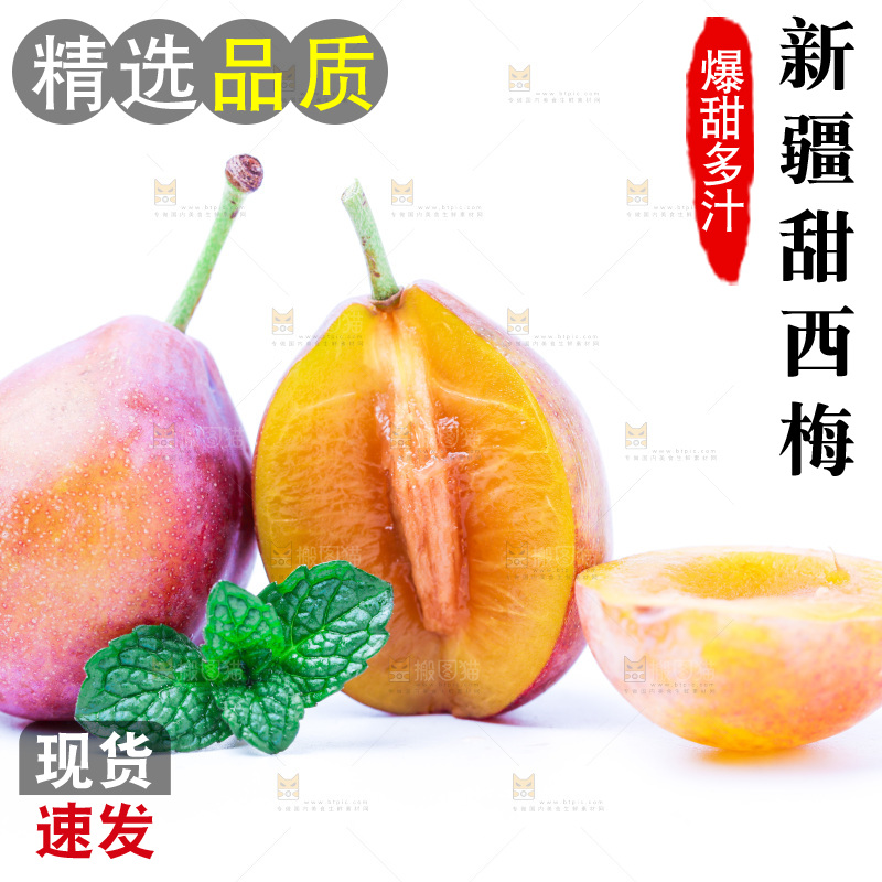 浅底上的新疆西梅