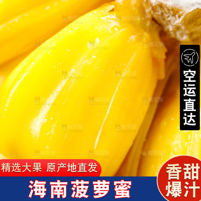 垫子上的菠萝蜜