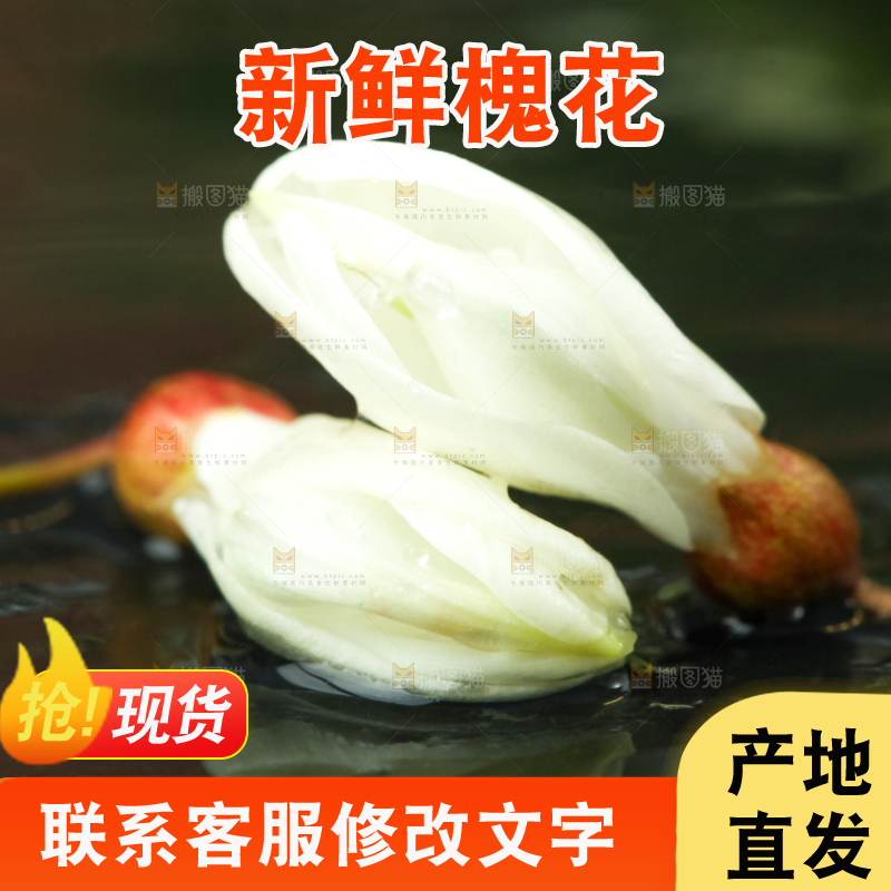 黑底上摆放着刺槐树花