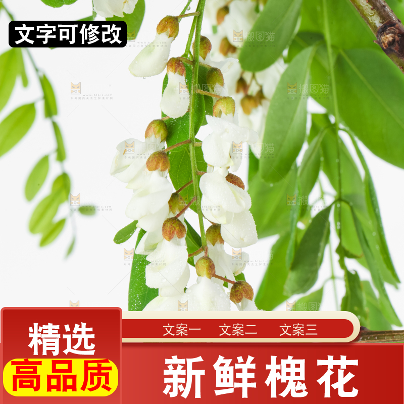 白底上放着槐花