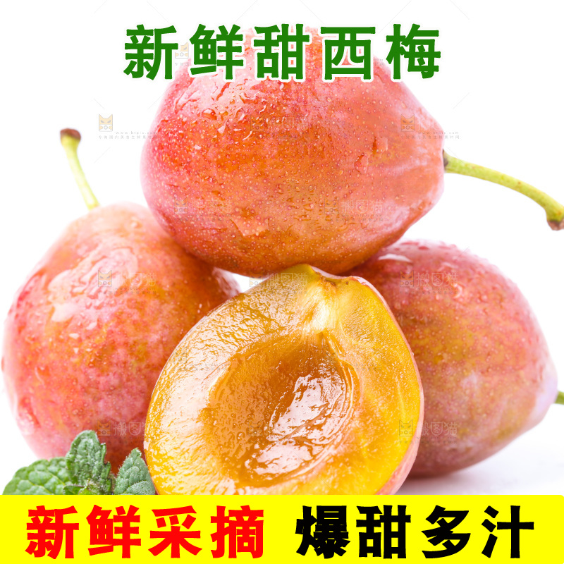 白底上的新疆法兰西西梅