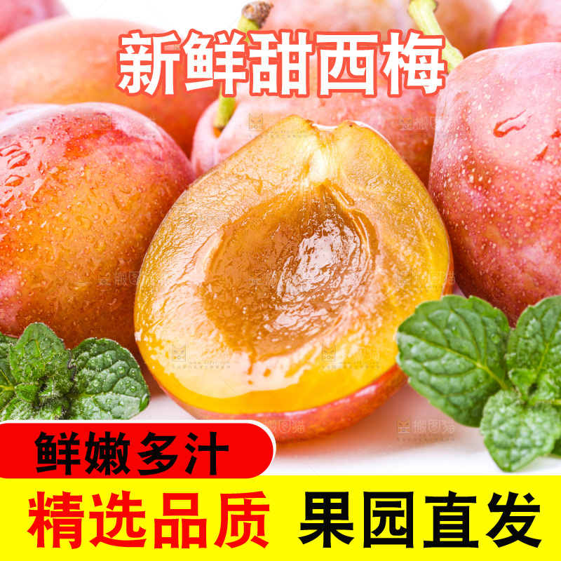 白底上的新疆法兰西西梅