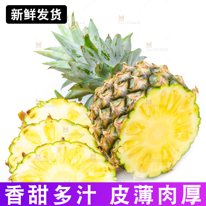 浅底上的海南凤梨