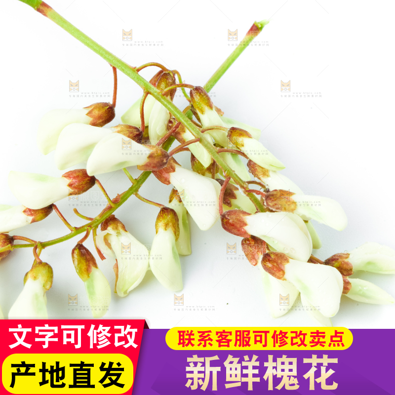 白底上摆放着洋槐花