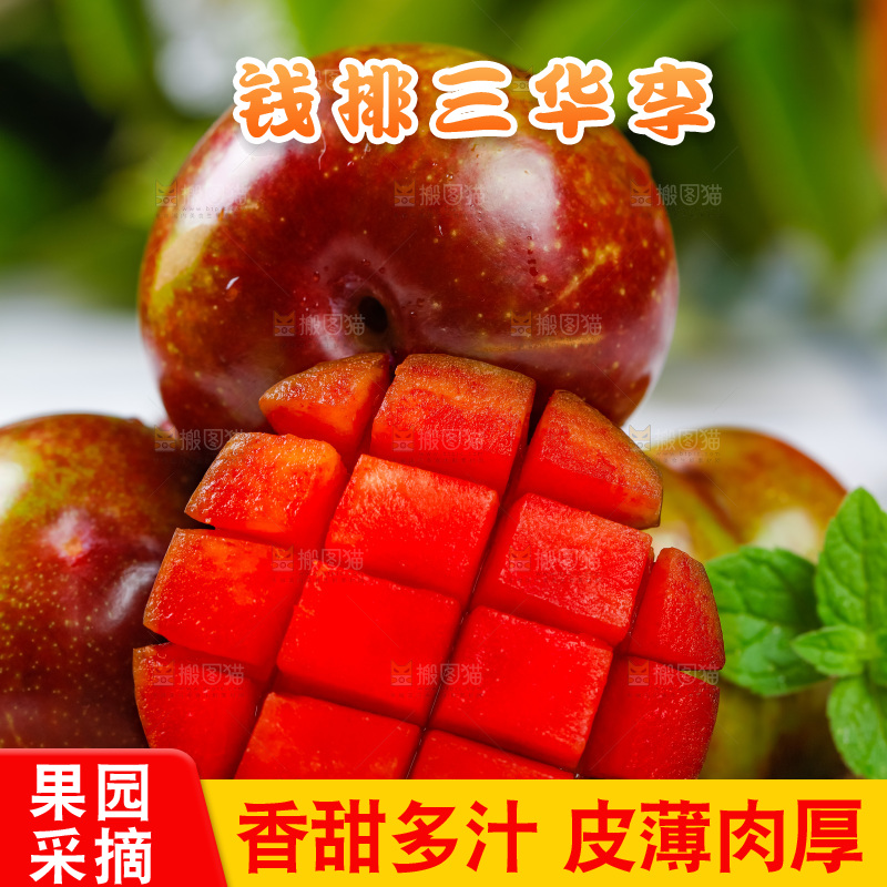 篮子里装着钱排三华李