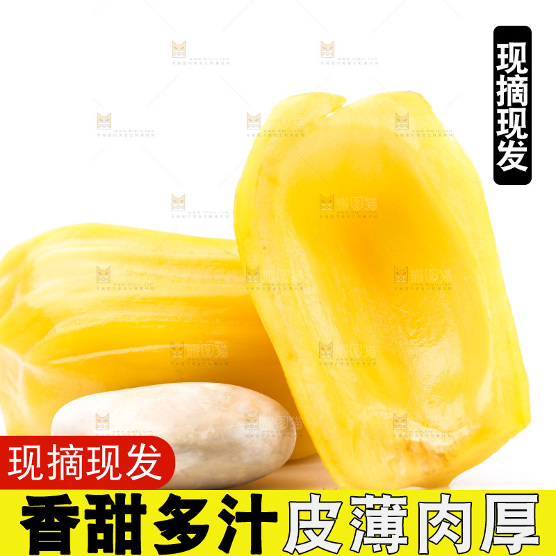 浅底上的海南菠萝蜜