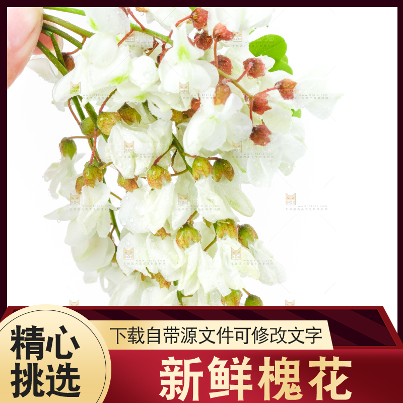 白底上放着槐花