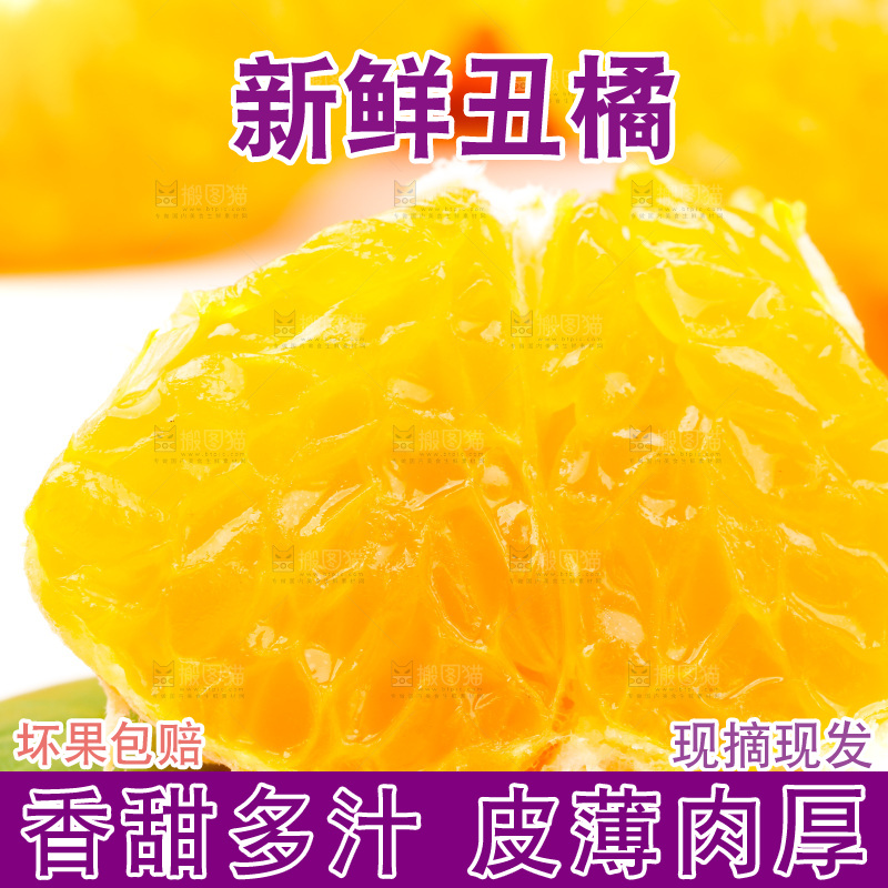 白底上的丑柑