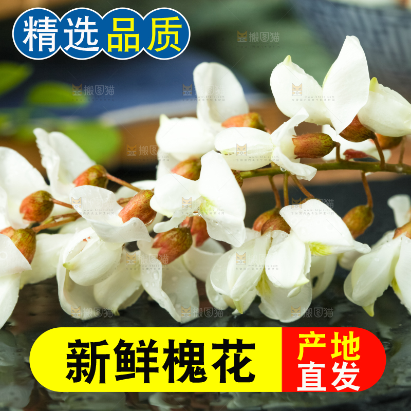 深底上摆放着野生洋槐花