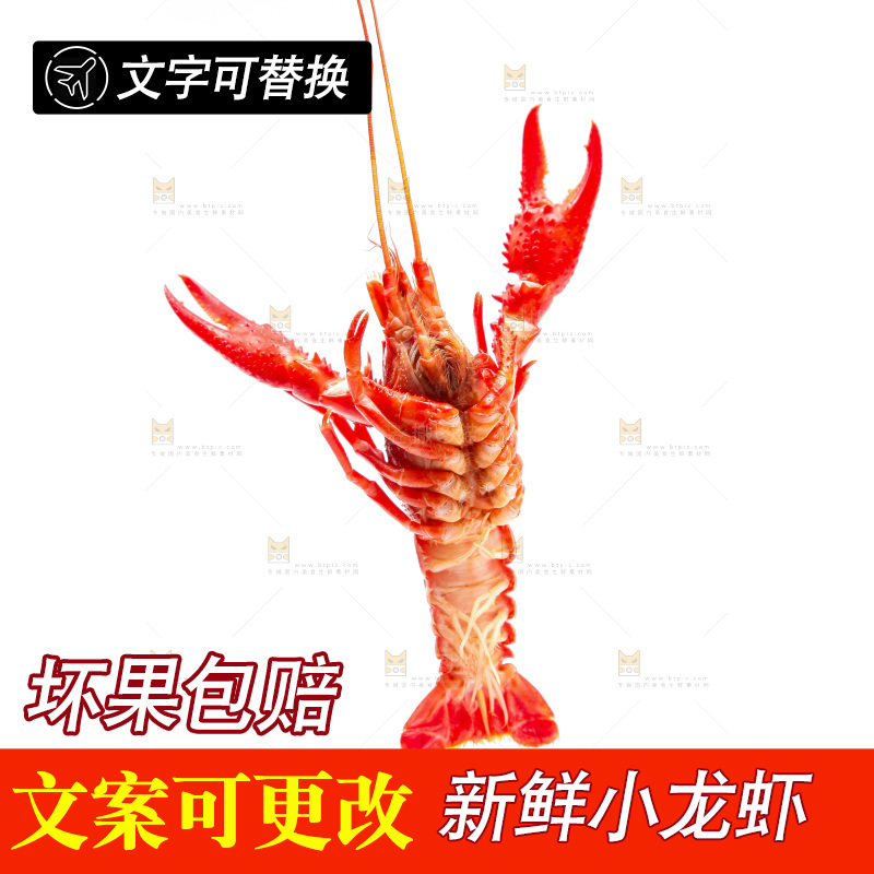 白底上放着清蒸小龙虾