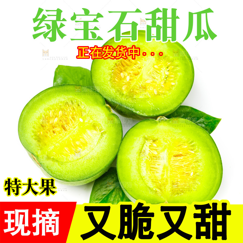 浅底上的山东绿宝石甜瓜