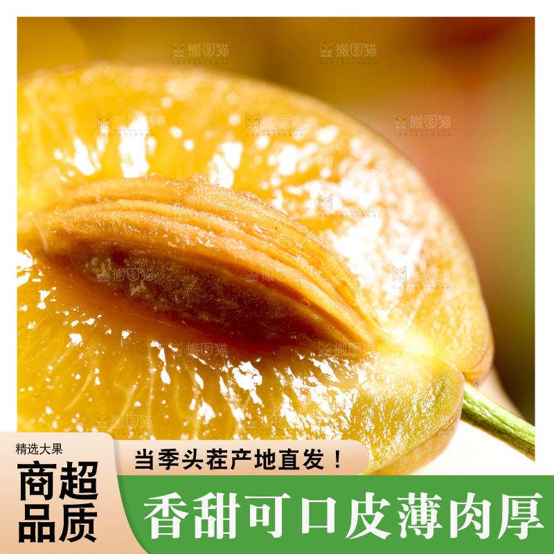 手里拿着新疆西梅