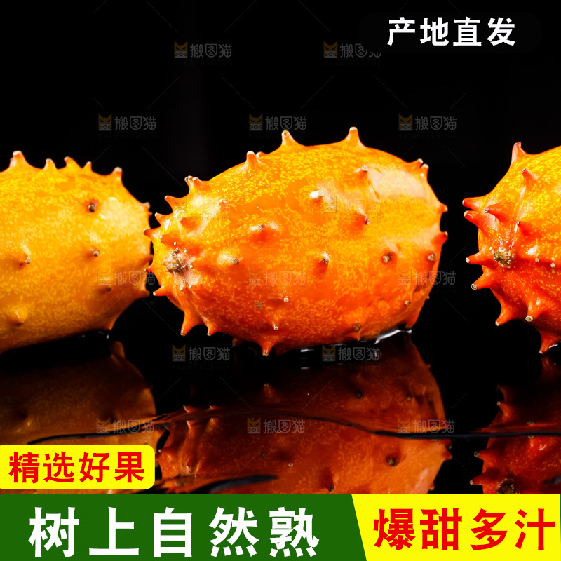 黑底上放着刺角瓜