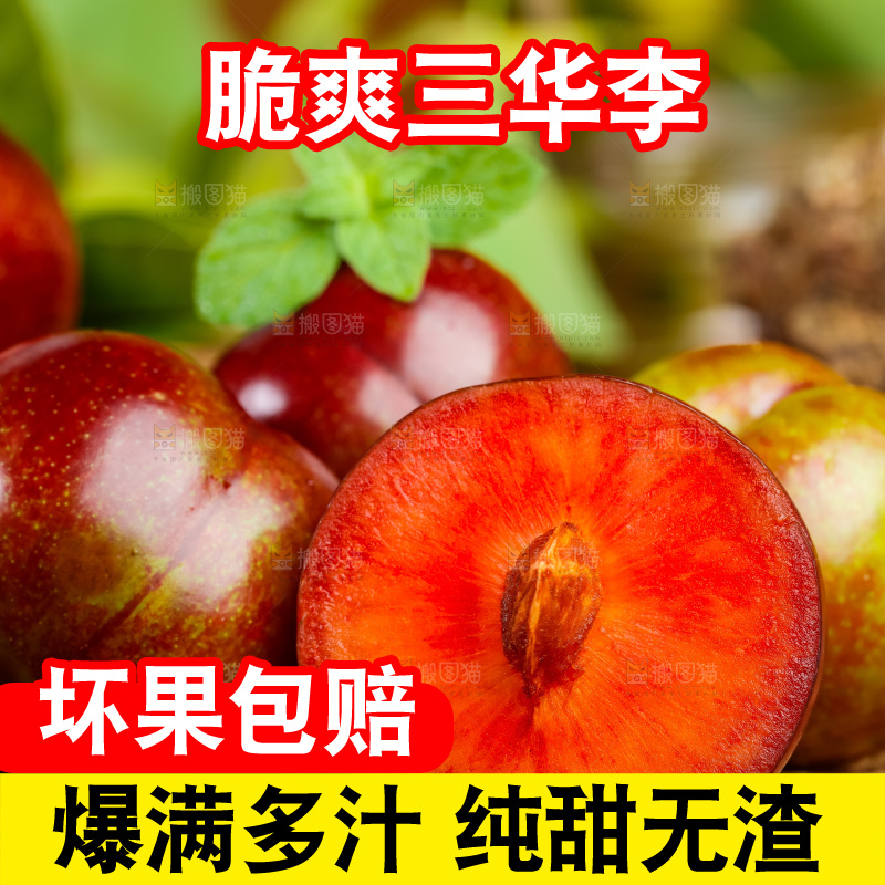 深底上摆放着三华李