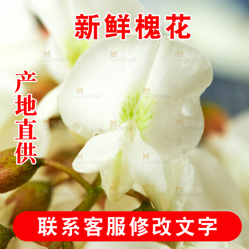 浅底上的天然洋槐花