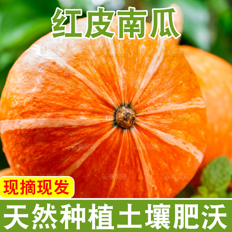 篮子上摆放着黄金南瓜