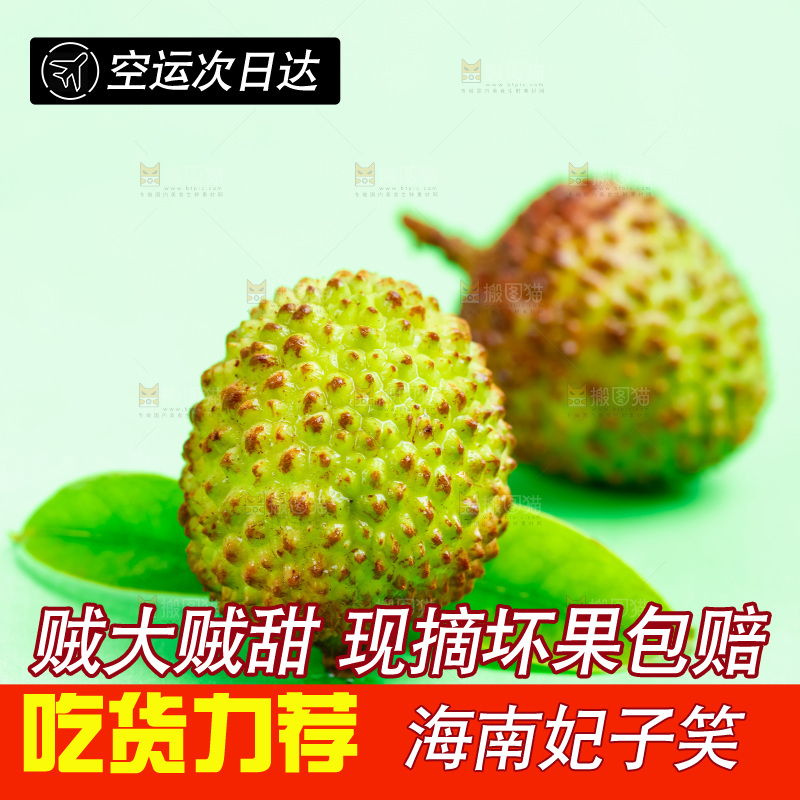 绿底上放着妃子笑荔枝