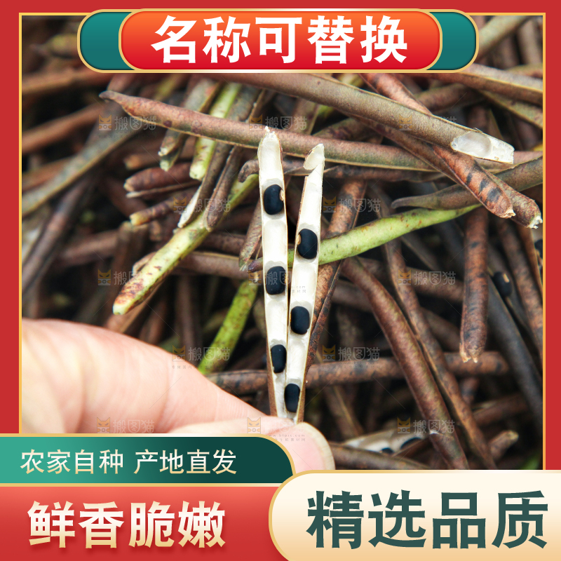 袋子里装着绿豆