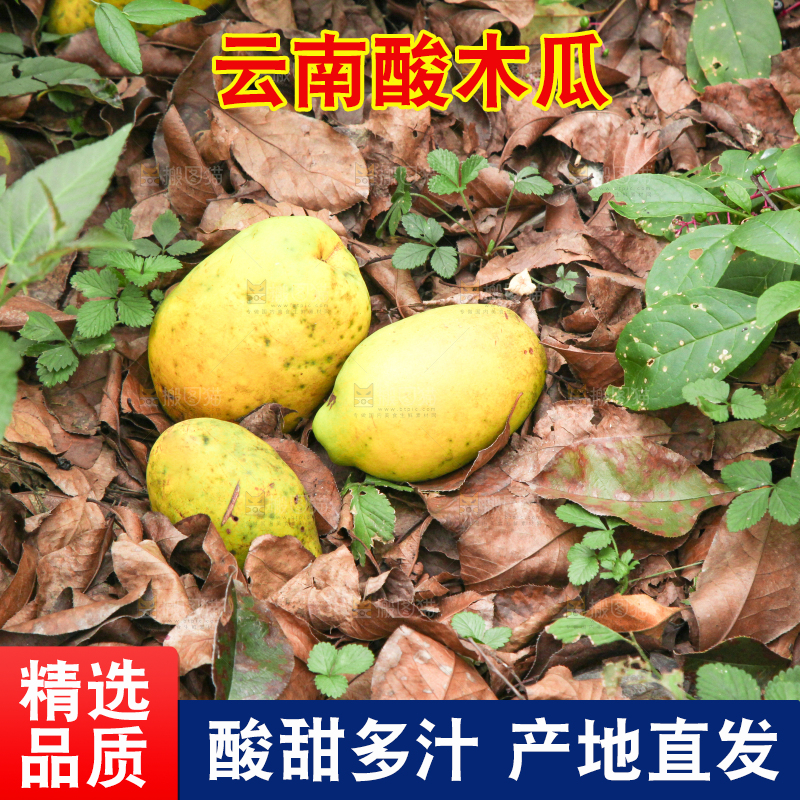 地上落着酸木瓜