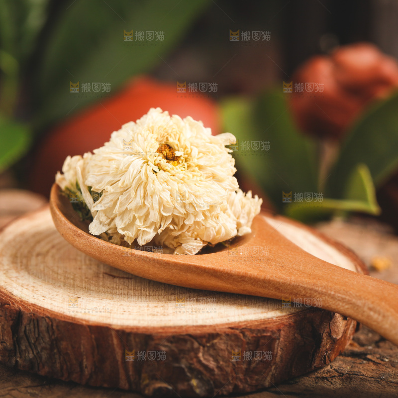木底上勺子里的杭白菊