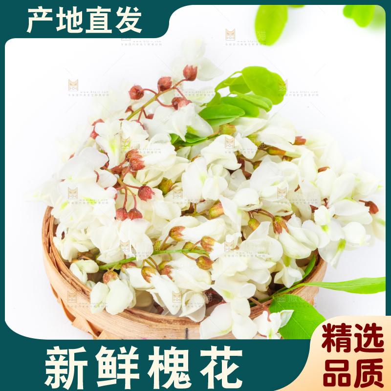 篮子里装着天然洋槐花