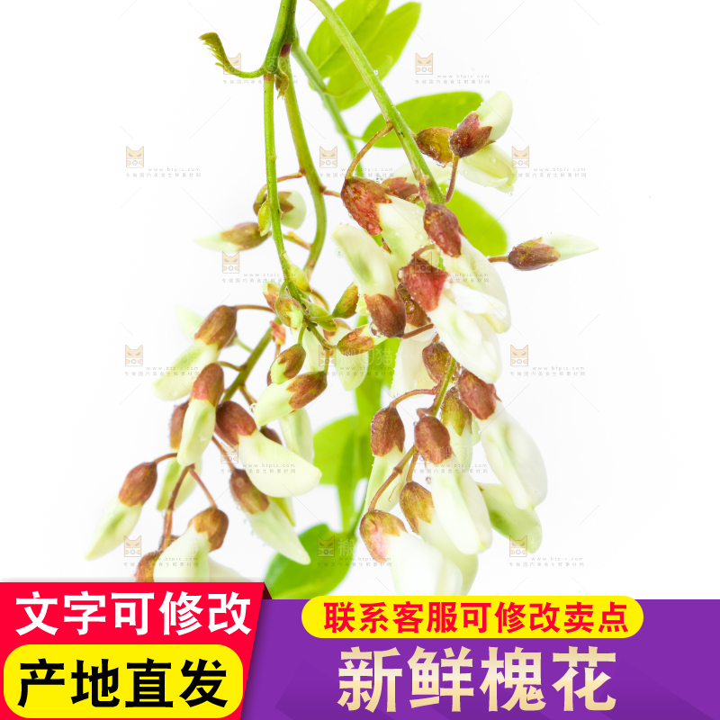 白底上放着槐花