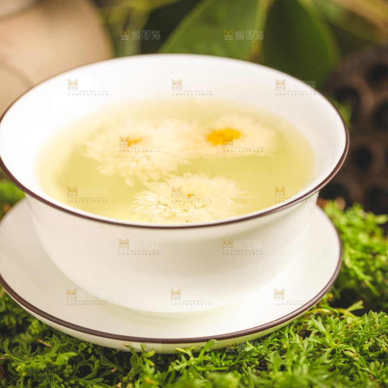 一杯杭白菊菊花茶