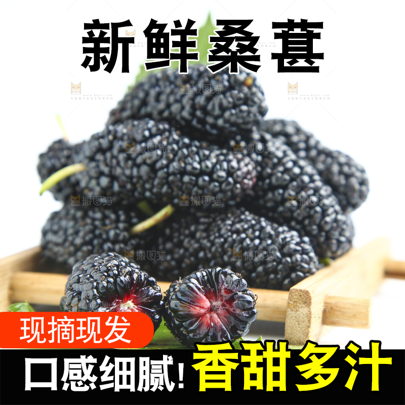 白底上放着一堆桑葚