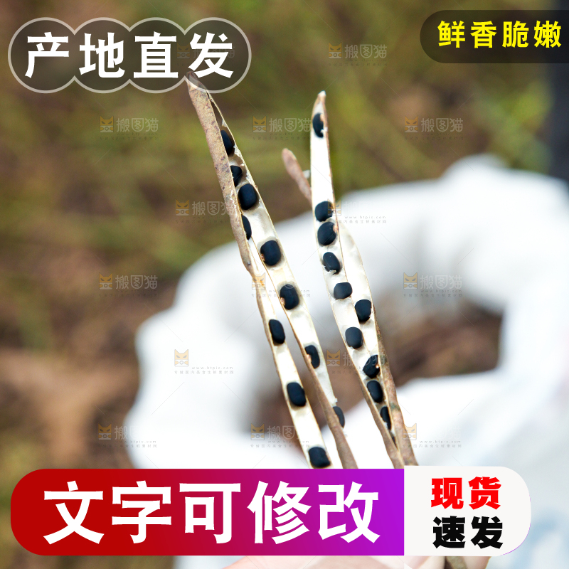 手里拿着绿豆