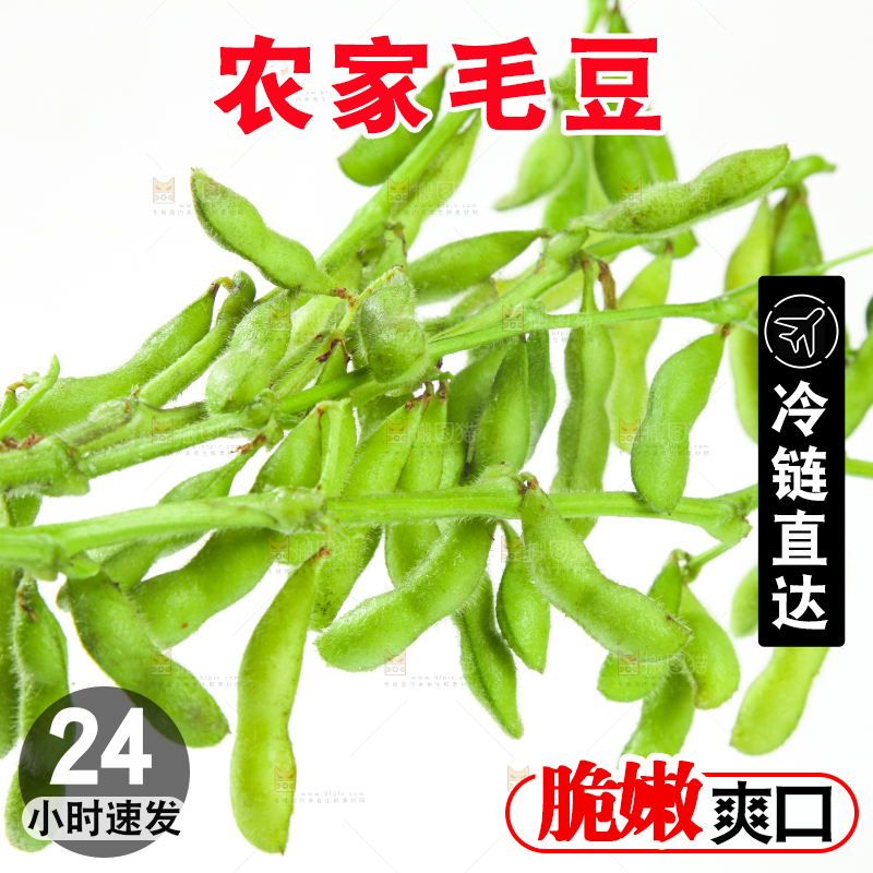 白底上的毛豆