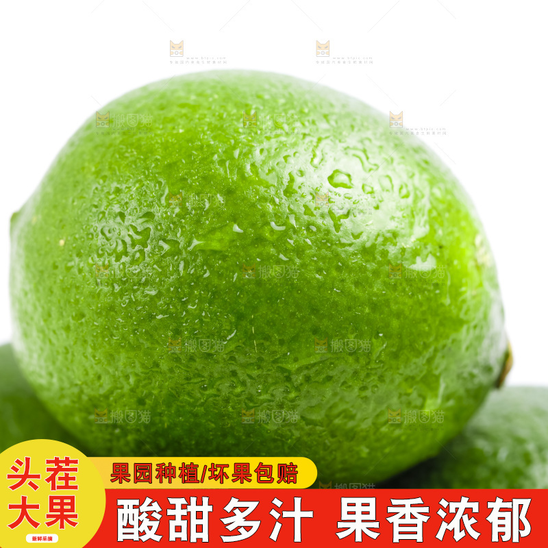白底上的青柠特写