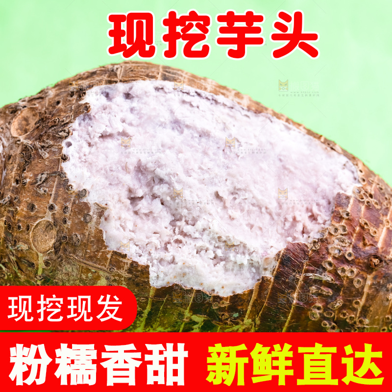 绿底上放着一个荔浦芋头