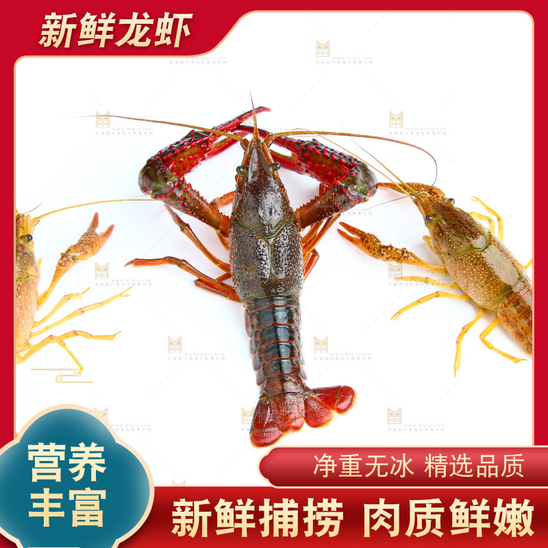 白底上放着三只小龙虾