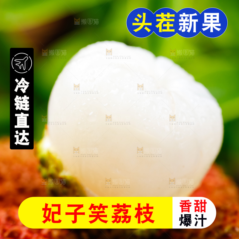 妃子笑果肉特写