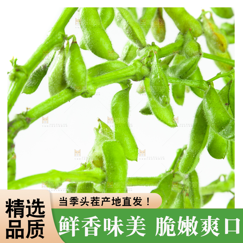 白底上的毛豆